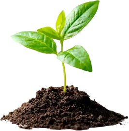 Agroquímico