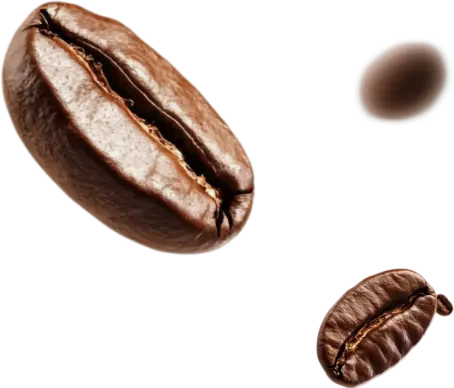 Bean